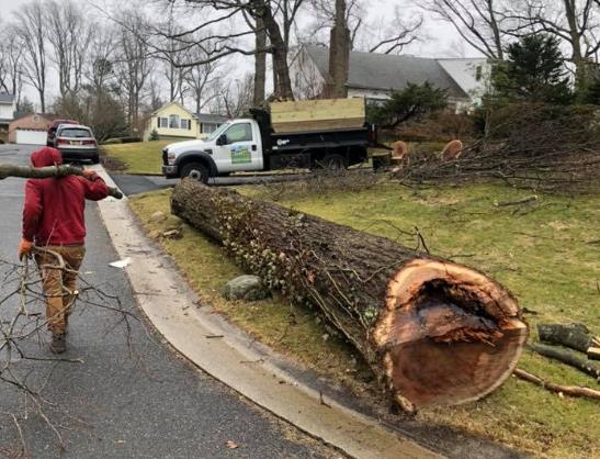 JC Sprinklers & Landscaping: Service Image-3 JC Sprinklers & Landscaping: Service Image-3