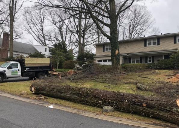 JC Sprinklers & Landscaping: Service Image-4 JC Sprinklers & Landscaping: Service Image-4