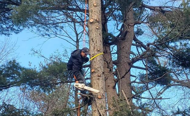 JC Sprinklers & Landscaping: Service Image-5 JC Sprinklers & Landscaping: Service Image-5