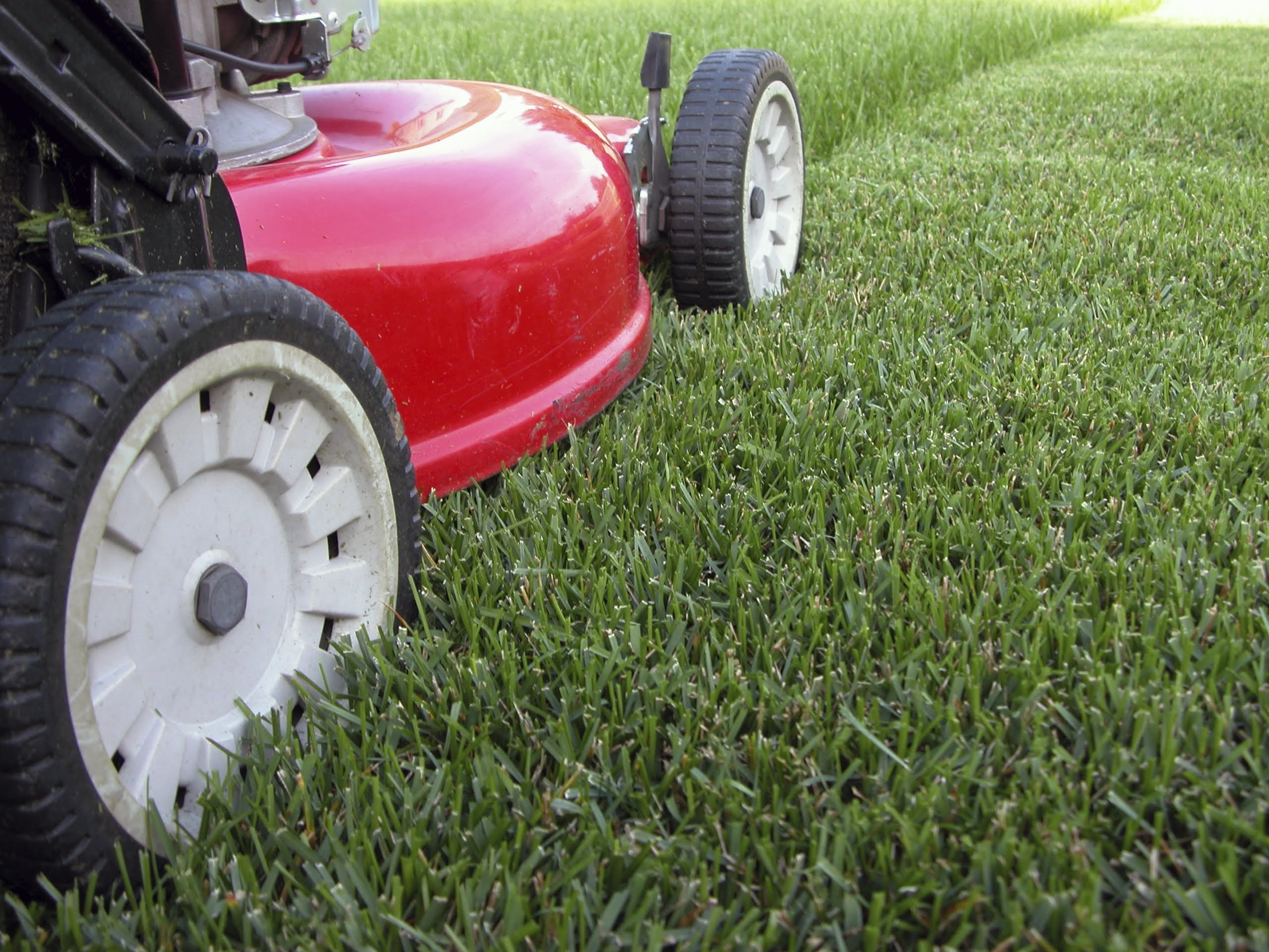 JC Sprinklers & Landscaping: Service Image-0 JC Sprinklers & Landscaping: Service Image-0